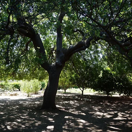 Archontiko Angelou Hotel