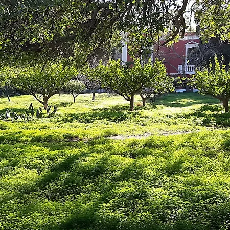Hotel Archontiko Angelou Alinda (Leros)