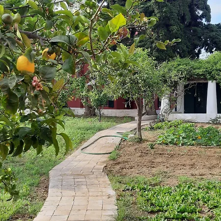 Archontiko Angelou 2*